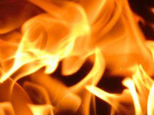 【八王子】住宅火災 79歳男性と消防隊員が死亡